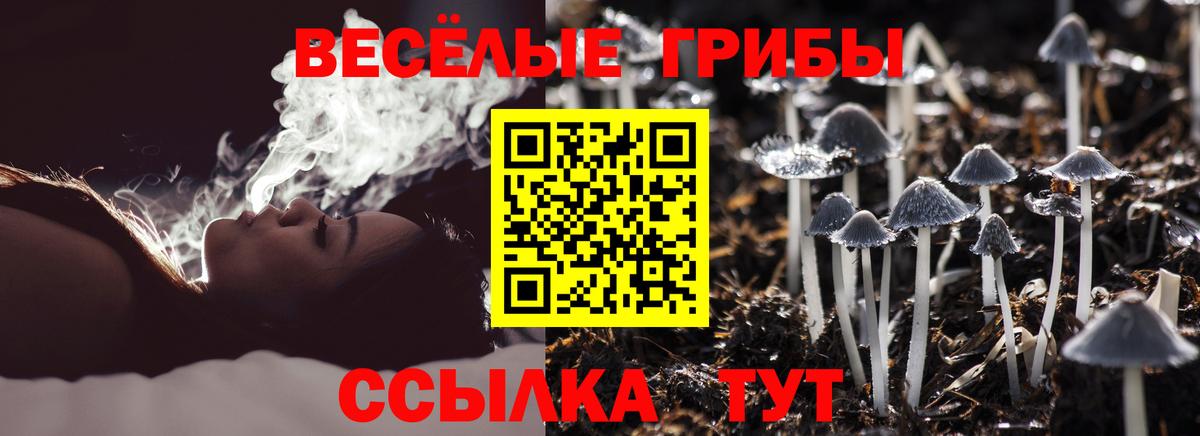 Галлюциногенные грибы Magic Shrooms Уссурийск